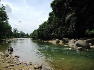 My kampung river